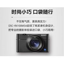 索尼（SONY）DSC-RX100M5A 蔡司镜头 高速对焦...